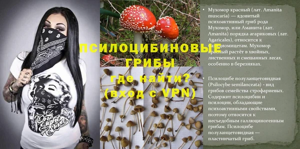 кокс Алексин