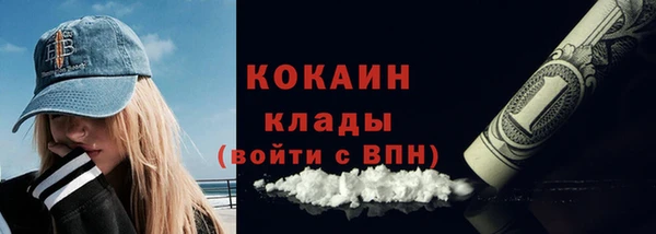 кокс Алексин