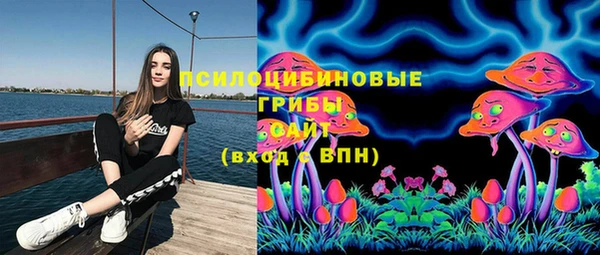 MDMA Premium VHQ Алзамай