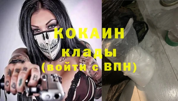 кокс Алексин